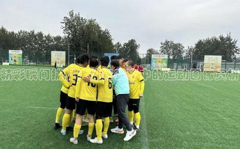 意昂4代理